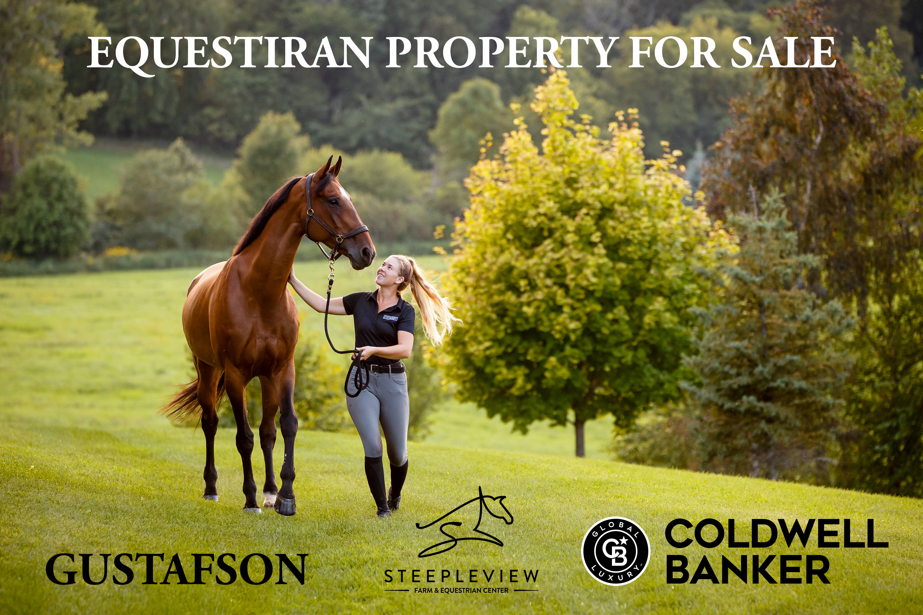 Steepleview Farm & Equestrian Center